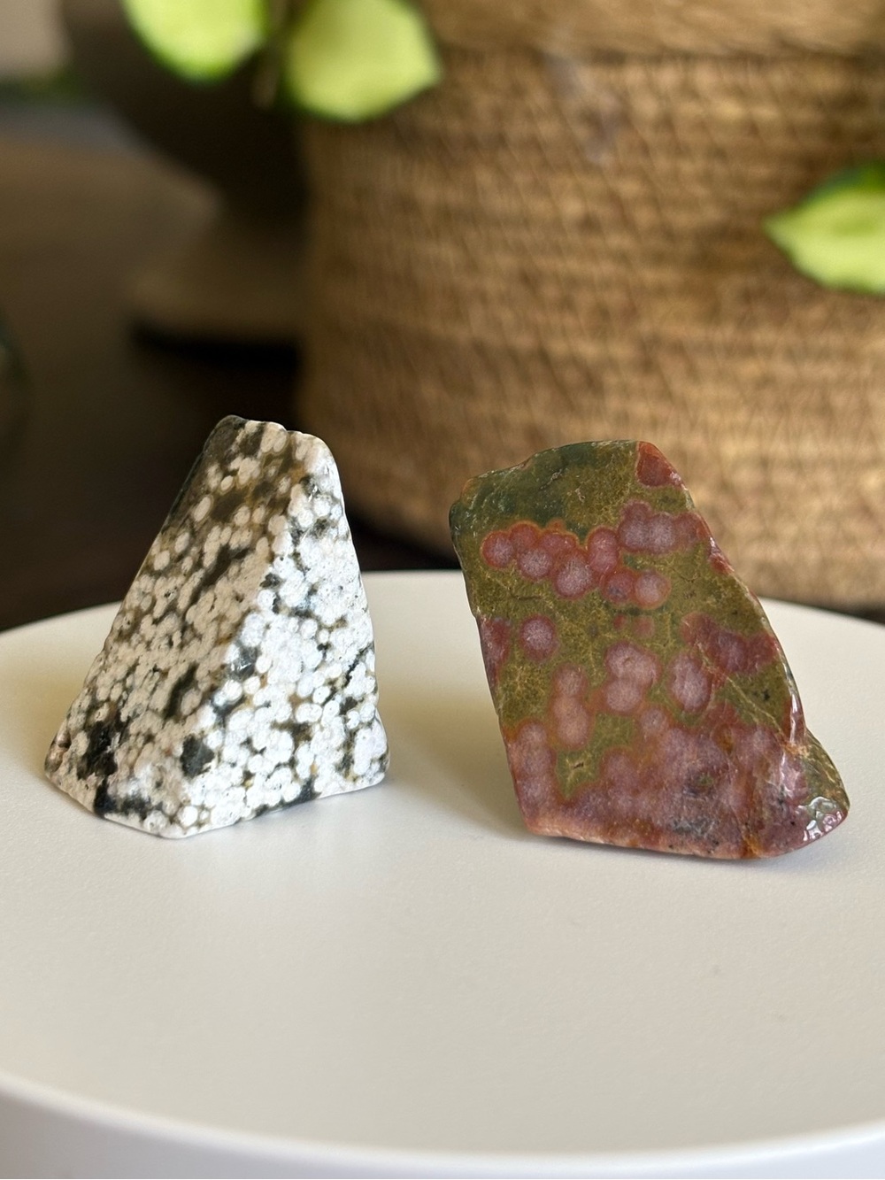 Ocean Jasper Crystal Set - Sea Jasper Bundle - Polished Orbicular Jasper